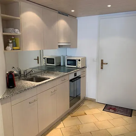 Apartamento Near Laax